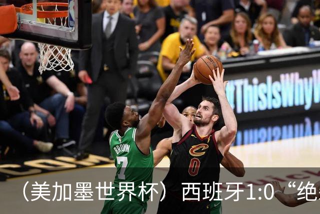 （美加墨世界杯）西班牙1:0“绝杀”葡萄牙 C罗结束世界杯征程
